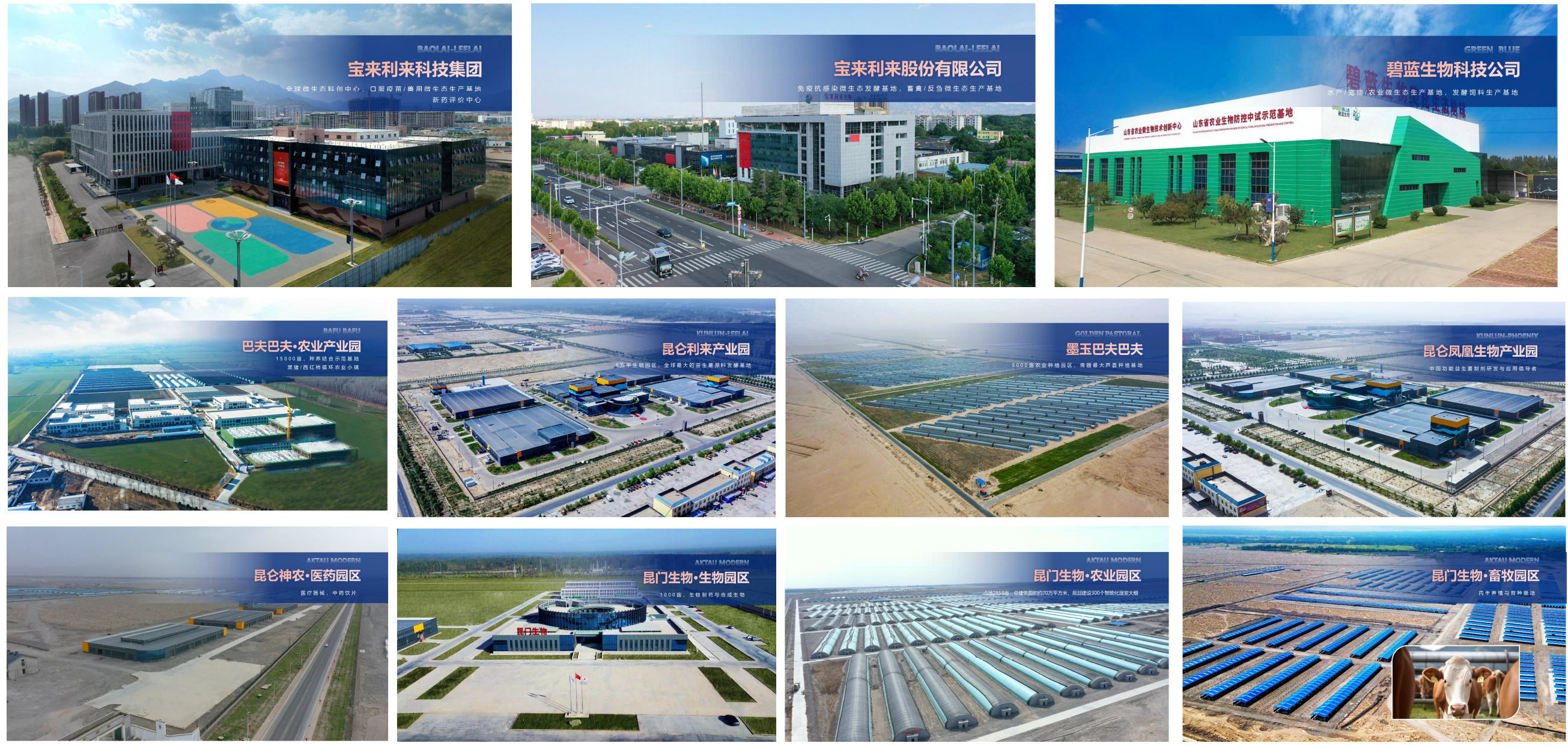 新建 PPT 演示文稿.png