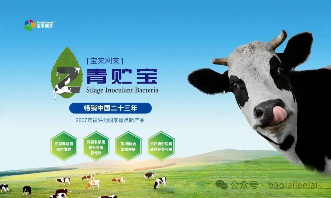 40c2134cc7ae3bc39887607fa85531fd.jpg 40c2134cc7ae3bc39887607fa85531fd.jpg